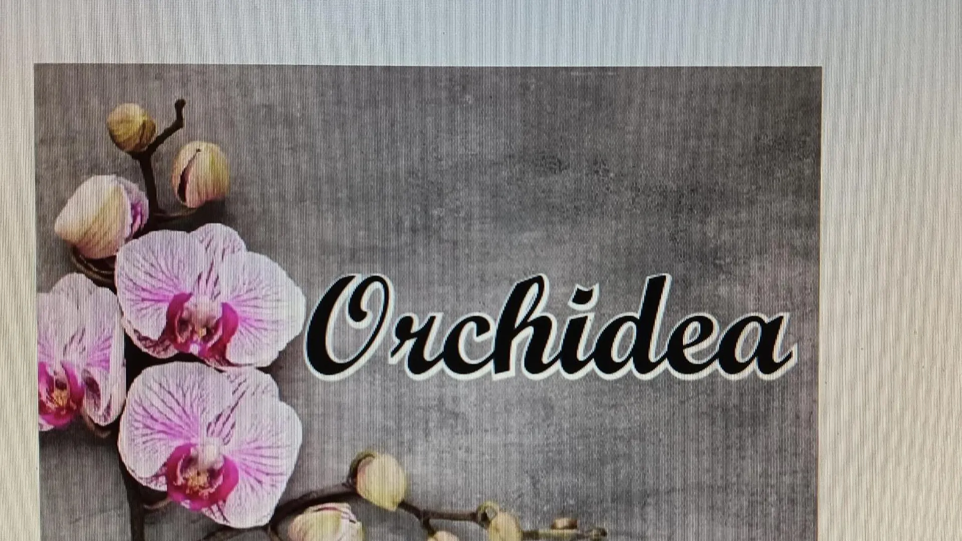 Appartamento Orchidea Naples Italy